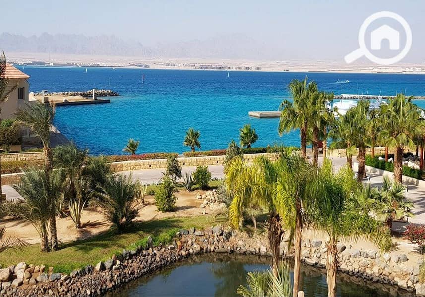 5 photo_2024-02-25_13-26-33. jpg