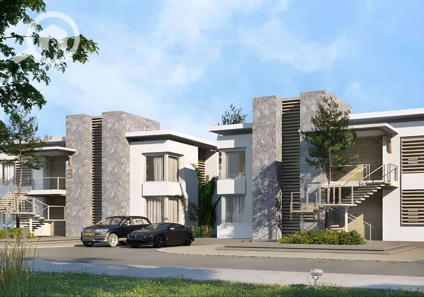 12 photo_2024-02-25_13-26-58. jpg