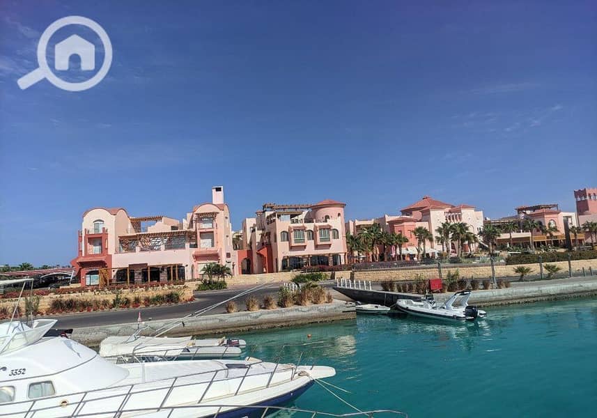 20 photo_2024-03-04_13-39-53. jpg