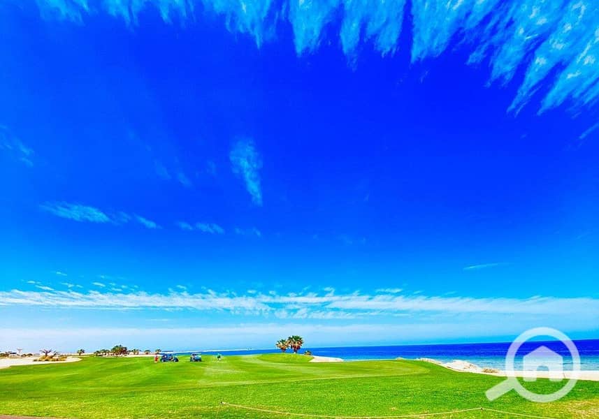 21 photo_2024-03-04_13-40-02. jpg