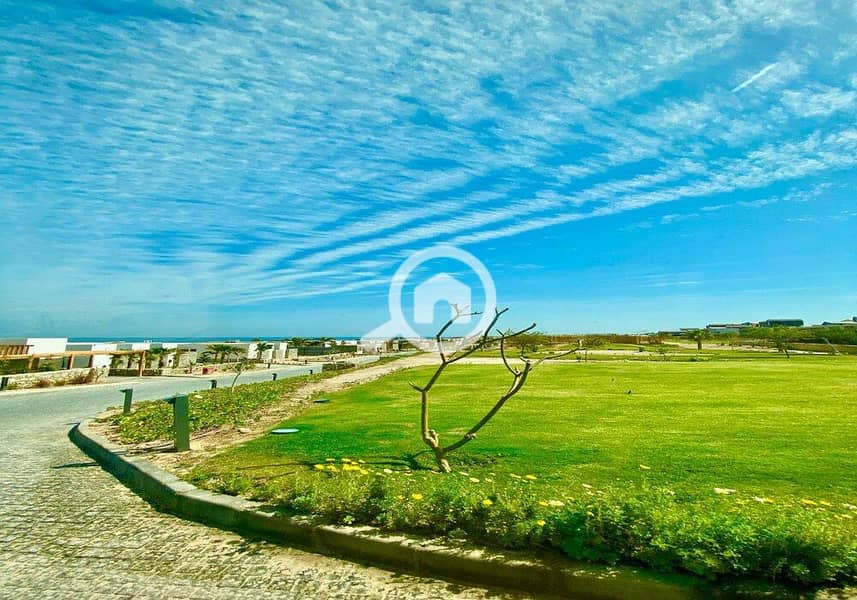 22 photo_2024-03-04_13-40-06. jpg