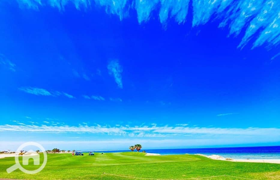 4 photo_2024-03-04_13-40-02. jpg