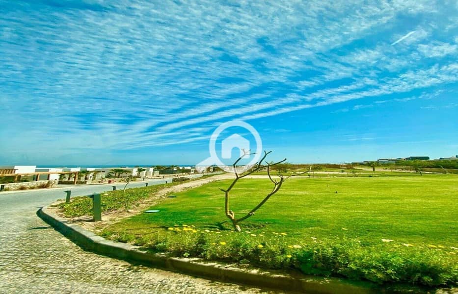 6 photo_2024-03-04_13-40-06. jpg