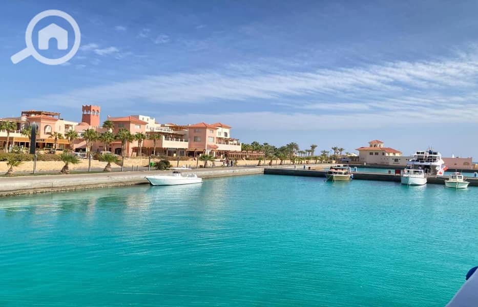 8 WhatsApp Image 2024-04-17 at 20.50. 13_5ce11f30. jpg