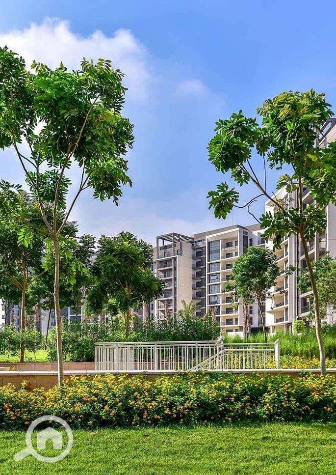 14 Screenshot_12-1-2026_17209_ - Copy. jpeg