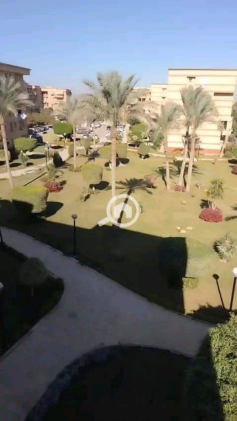 5 WhatsApp Image 2026-01-12 at 7.26. 19 PM (2). jpeg