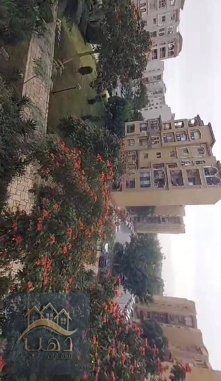 2 WhatsApp Image 2026-01-12 at 6.29. 20 AM. jpeg