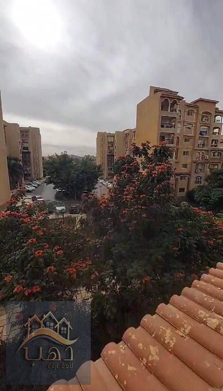 4 WhatsApp Image 2026-01-12 at 6.29. 18 AM (1). jpeg