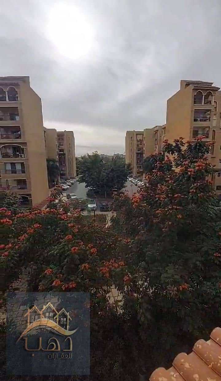 6 WhatsApp Image 2026-01-12 at 6.29. 19 AM. jpeg