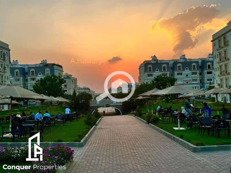 6 Untitled design - 2023-11-30T155906.113 (2). png