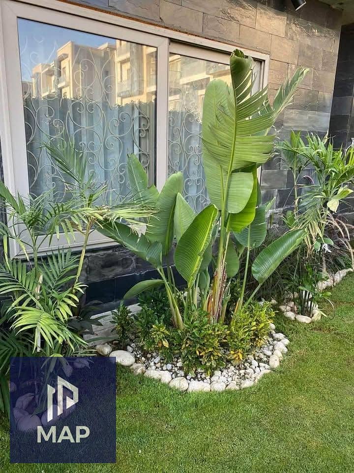 2 484630339_666144475887848_9161291491591612591_n. jpg