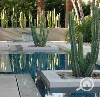 7 ee2c018e-0b5e-4210-bffa-cc6f4a449160. jpg