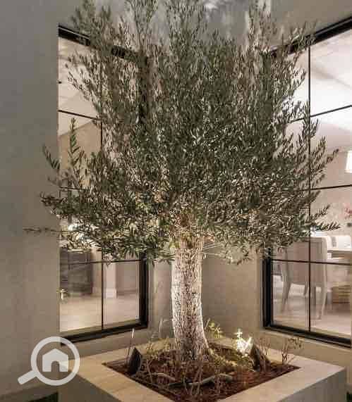 11 be4a1dab-45e5-4e45-85e1-171d4550b6eb. jpg