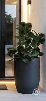 12 f15b5ac6-4f3f-45ae-980a-c59ed89924f3. jpg