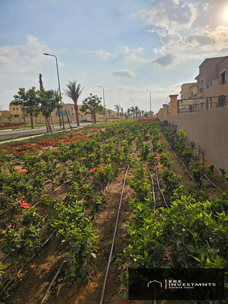 13 adeccd9b-f6c5-45ee-a1c7-7eecd904dc4c. jpg