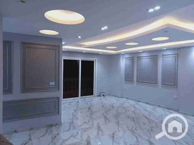 3 Bedroom Flat for Rent in Dokki, Giza - 1000091172. jpg