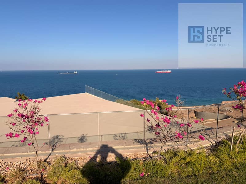 9 10daa9c9-51a9-4b8e-964b-8fdb20b50c80. jpg