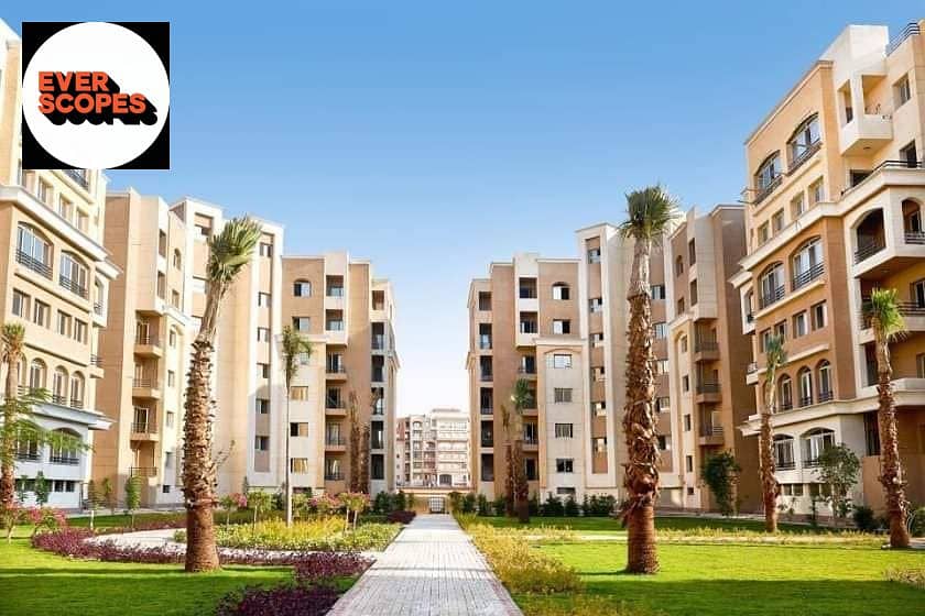 10 489789279_1149213917009844_611290369458007968_n. jpg