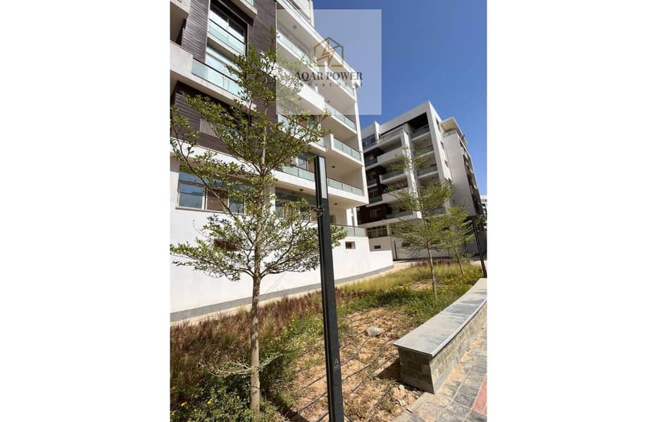 8 WhatsApp Image 2025-07-06 at 23.46. 56_a0c26046. jpg