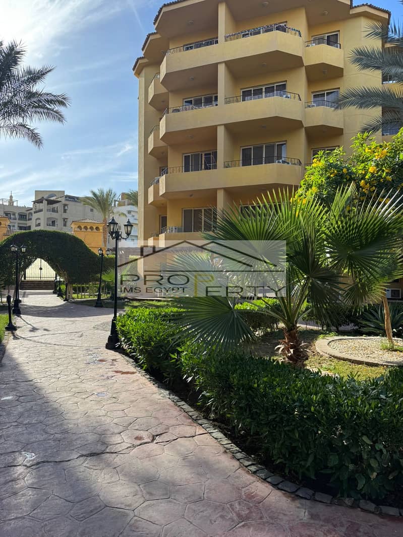 5 518fe667-b788-417d-88db-f54d23e7926f. jpg