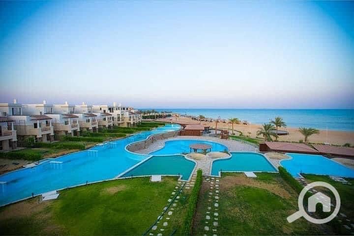 2 416563AB-D6BF-4194-BBD5-4E5602293554. jpeg