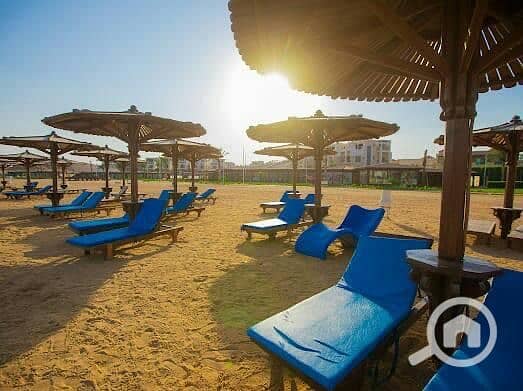 7 41264369-DE16-4B6F-8F3C-575046A5AB83. jpeg