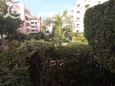 3 Bedroom Flat for Rent in New Cairo, Cairo - 669821fd2c428_169089774264c90d4e522bb. jpeg 3 Bedroom Flat for Rent in New Cairo, Cairo - 669821fd2c428_169089774264c90d4e522bb. jpeg