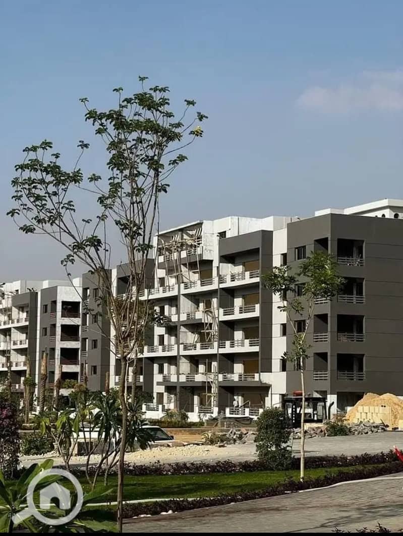 5 506403778_4102666330056341_2335366757042562844_n. jpg