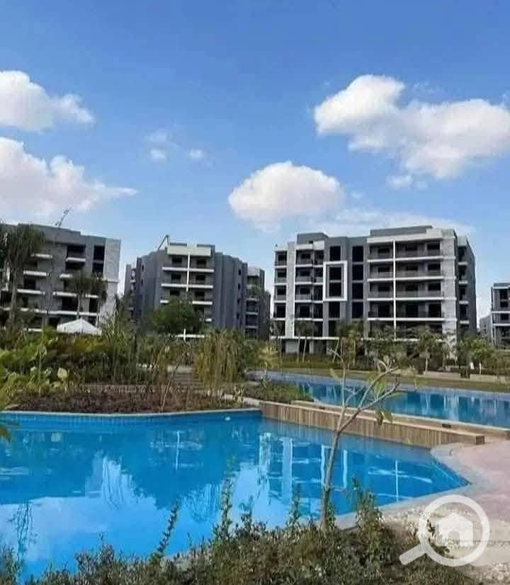 10 607844000_122250729716155442_5311784607668811998_n. jpg