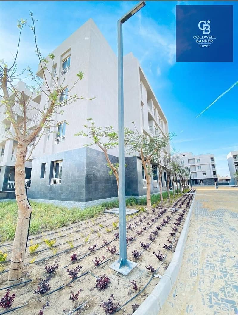 8 WhatsApp Image 2026-01-12 at 13.45. 25_f0b248e6. jpg