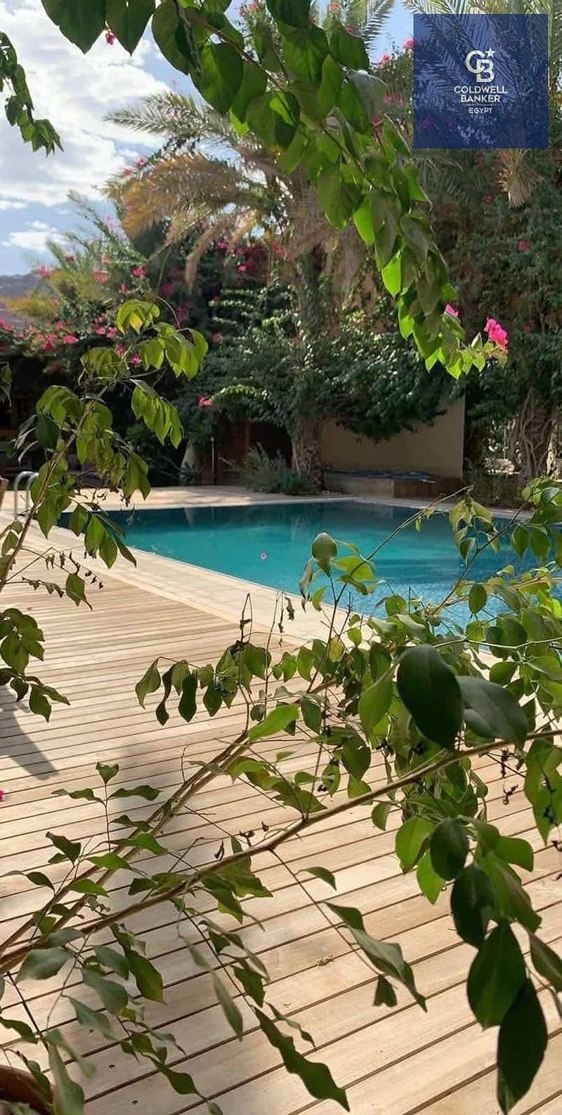 10 WhatsApp Image 2025-12-23 at 8.15. 24 AM (1). jpeg