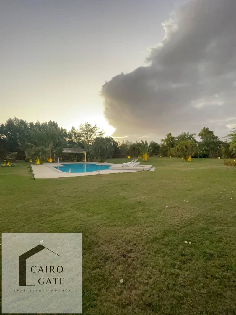 27 WhatsApp Image 2025-04-22 at 17.18. 35_46c0a8cb. jpg