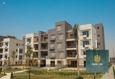 3 64032dc88c43c659317641. png