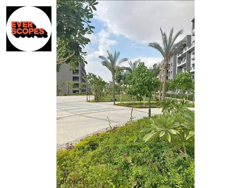 6 148476589-800x600. jpg