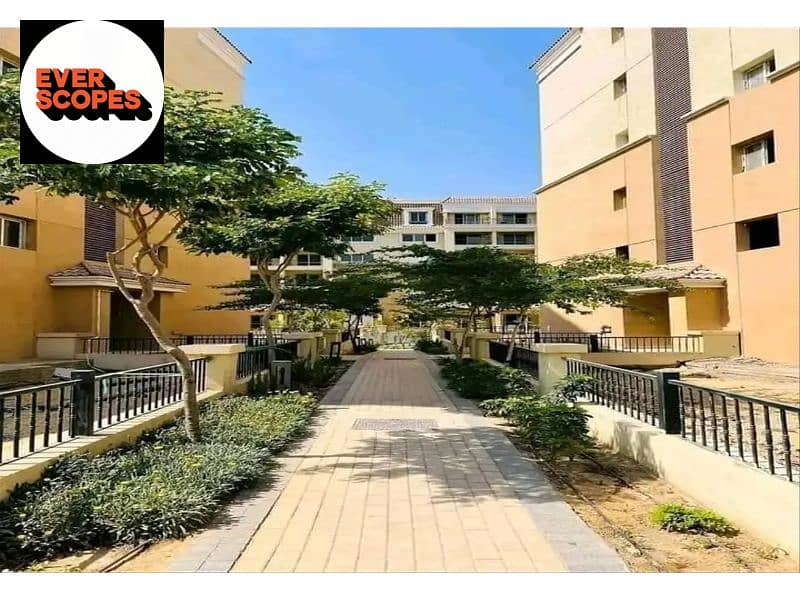 5 6542988-4f389o. jpg