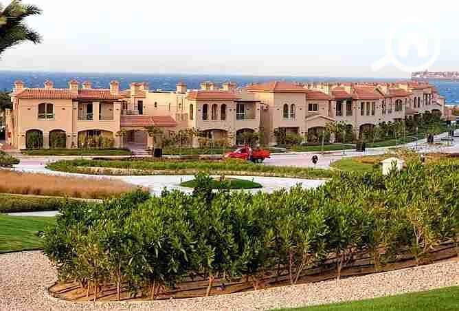 4 2377063-dd862o. webp