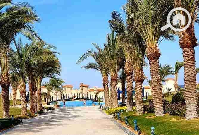 9 2377063-04838o. webp