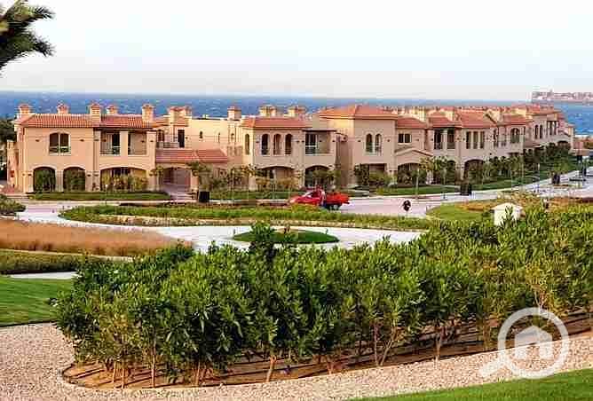 5 2377063-dd862o. webp