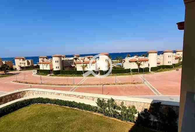 6 2377063-328ddo. webp