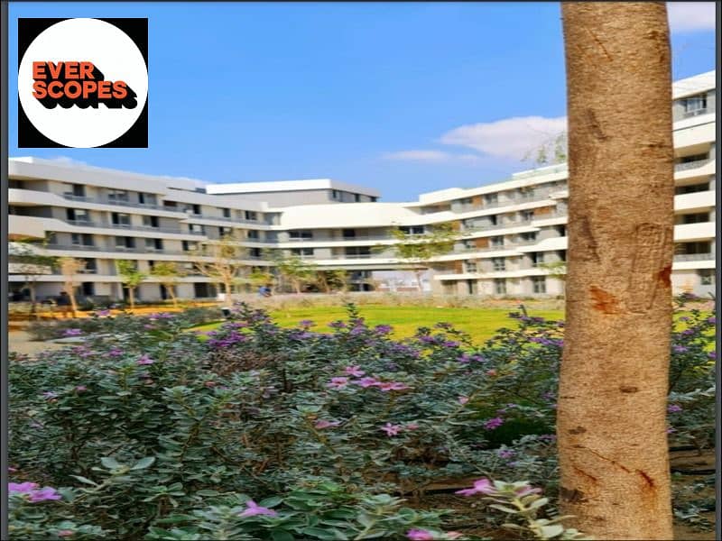 3 WhatsApp Image 2025-10-19 at 15.30. 11. jpeg