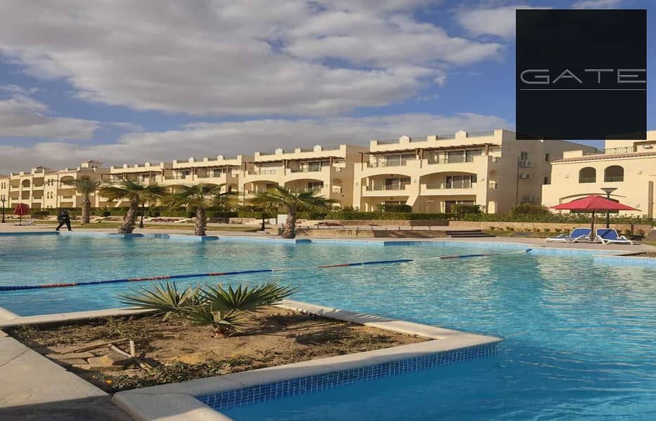 10 WhatsApp Image 2024-11-27 at 8.31. 38 PM (3). jpeg