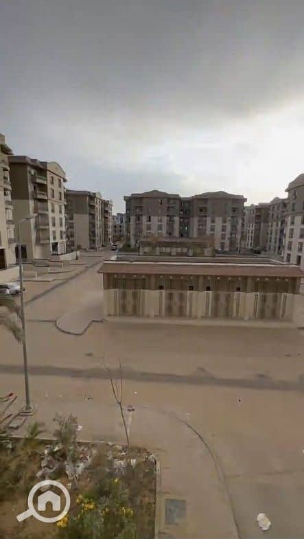 7 612873329_122117755497086700_7187493614393754599_n. jpg