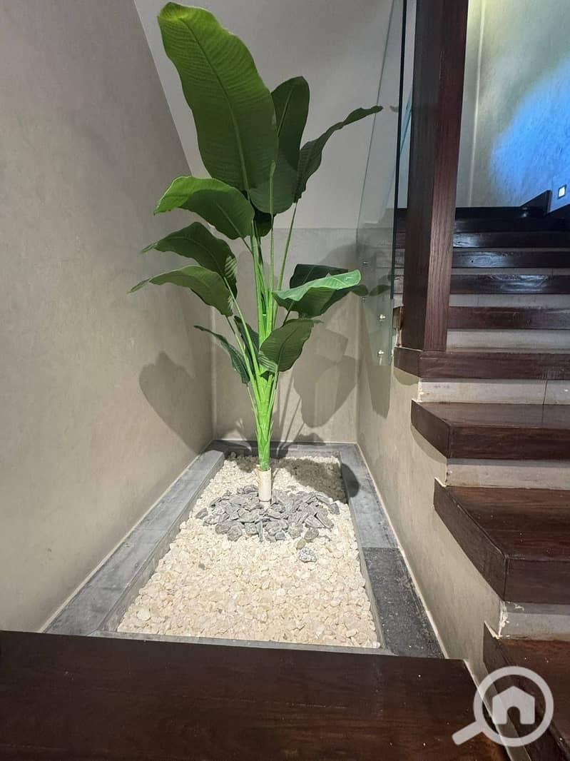 18 591747168_122304277472228254_5153665556239856768_n. jpg