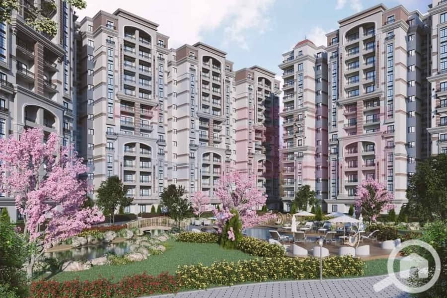 4 WhatsApp Image 2024-07-01 at 6.48. 10 AM. jpg