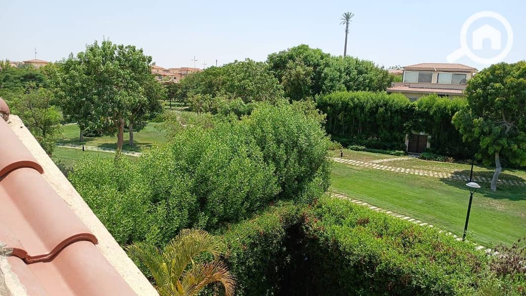 16 ff3ff014-6eaa-400e-9f6e-0c4faf04739a. jpg