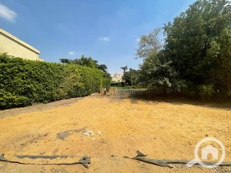 7 6e2b7431-63d0-4357-a8d7-6b80b6235508. jpg