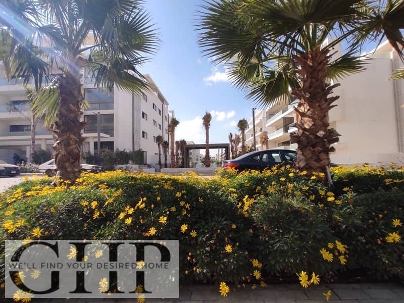 13 WhatsApp Image 2025-12-11 at 16.59. 16_eecf861d. jpg