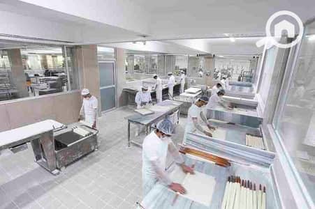 Factory for Rent in New Cairo, Cairo - 1000214196. jpg