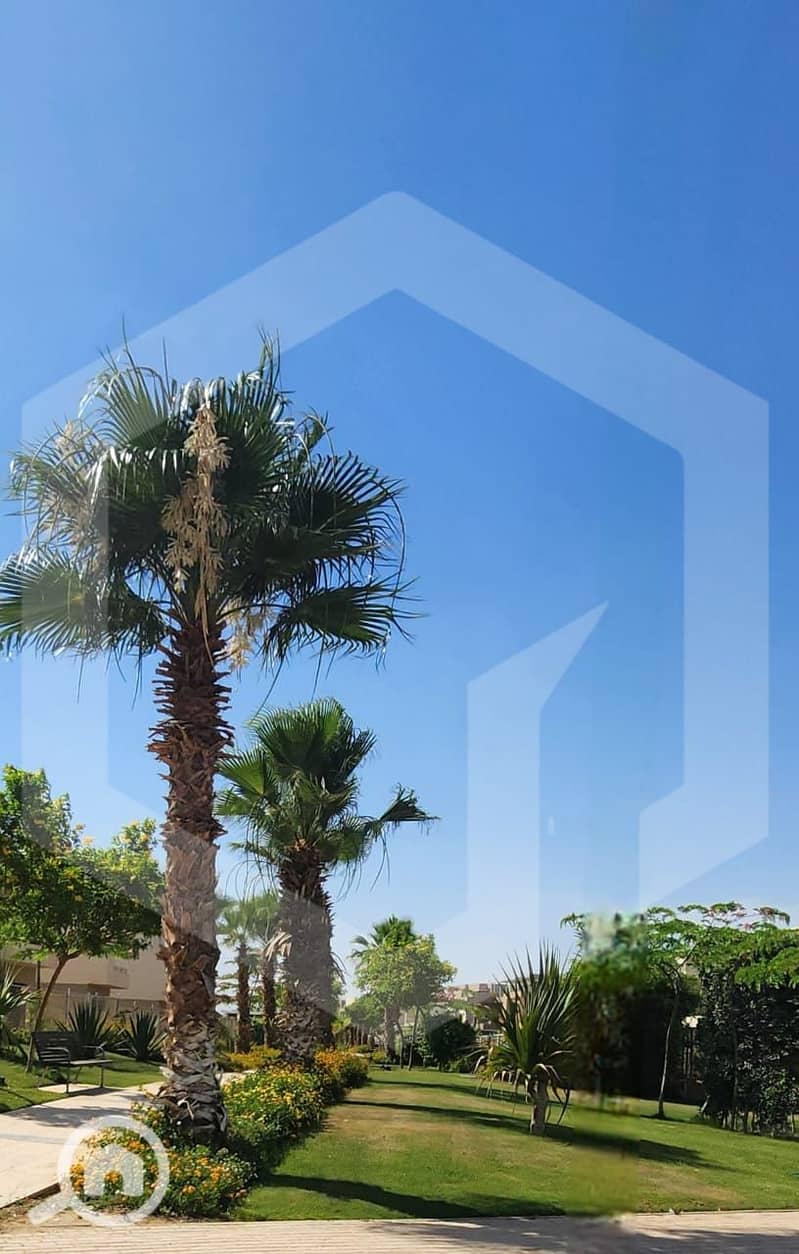 11 The Crown 11. jpg