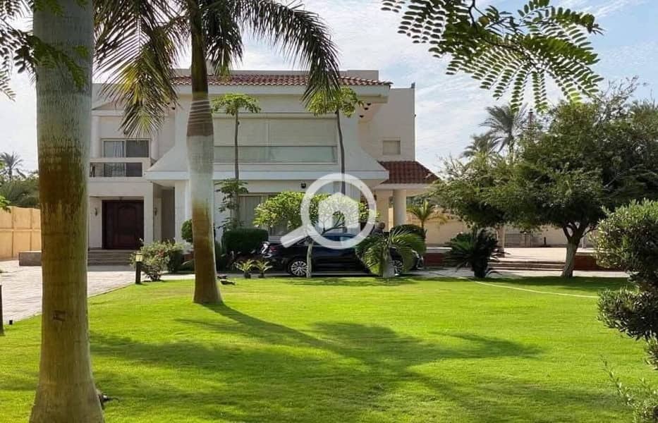 9 499435071_1927536017988775_8011871741483014010_n. jpg